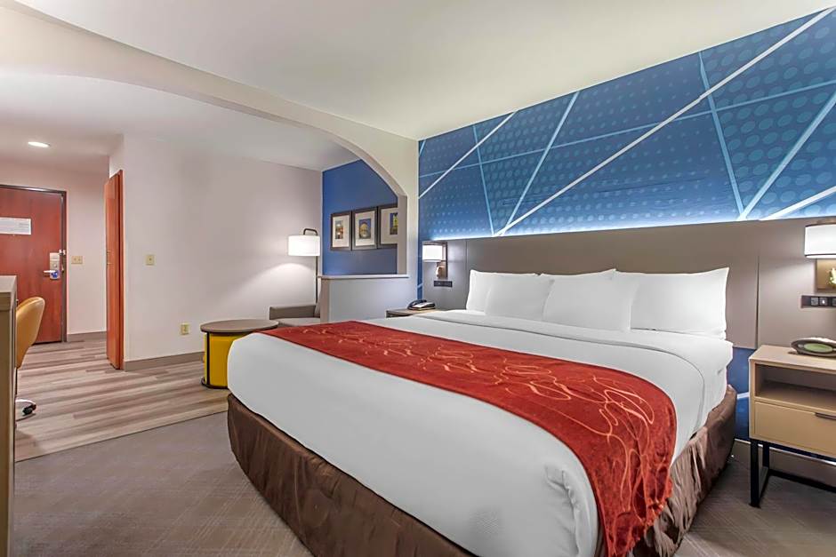 Comfort Suites Downtown Sacramento