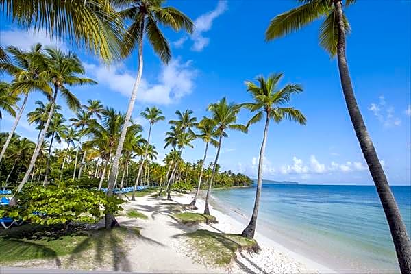 Wyndham Alltra Samana All Inclusive Resort