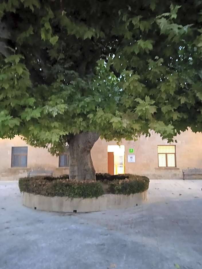 Albergue de Maella