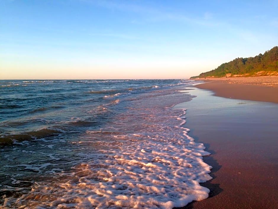 Domki Mi¿dzy Sosnami