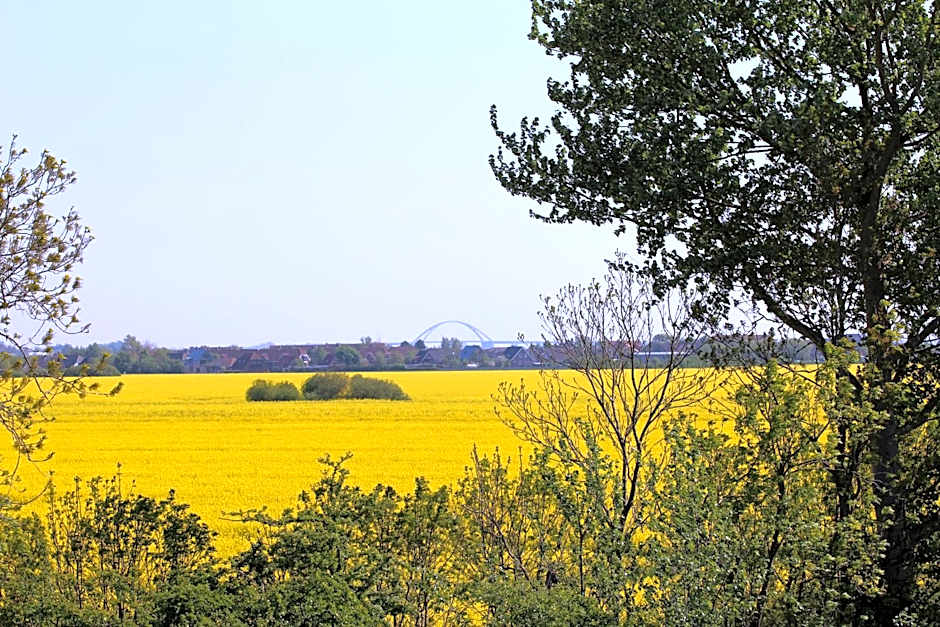 Avalon Hotel Bellevue