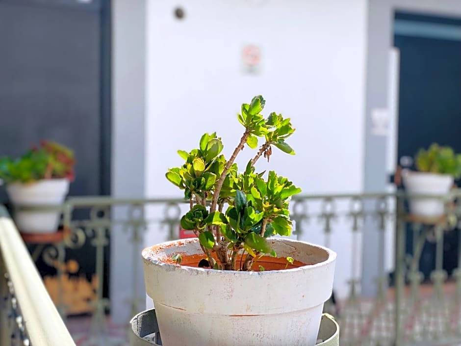 Kuku Ruku Hotel