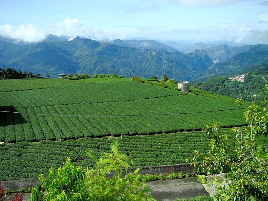 Alishan B&B YunMinGi