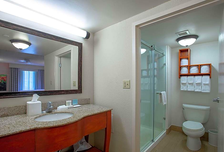 Hampton Inn By Hilton And Suites Williamsburg-Richmond Rd.