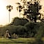 Minos Palace Resort - Adults Only