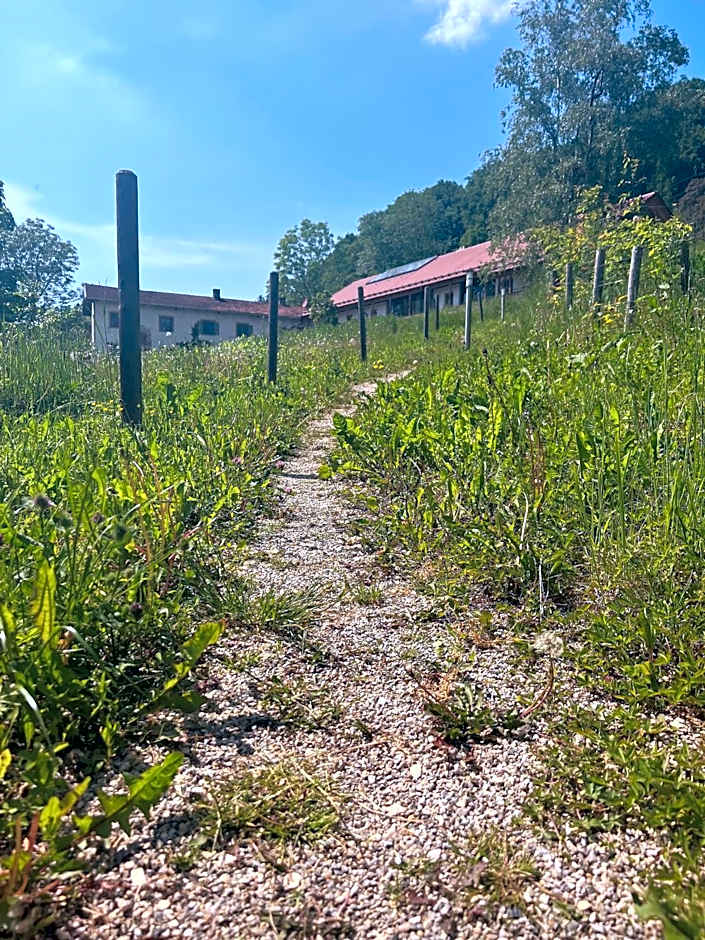 Sunhill Appartments, klimatisiert