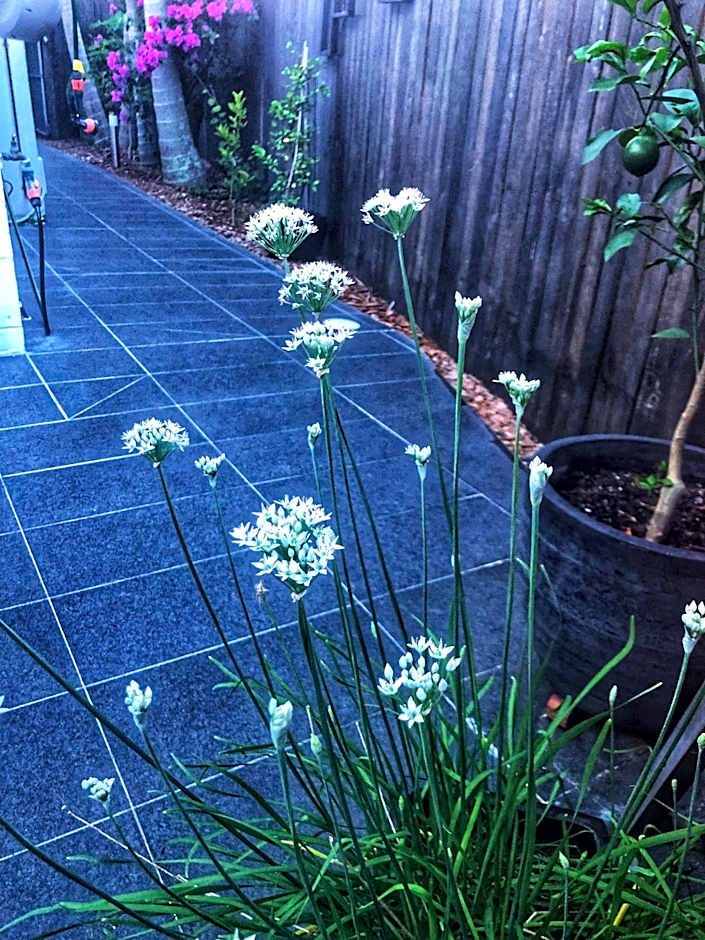 Paperbark Bed & Breakfast