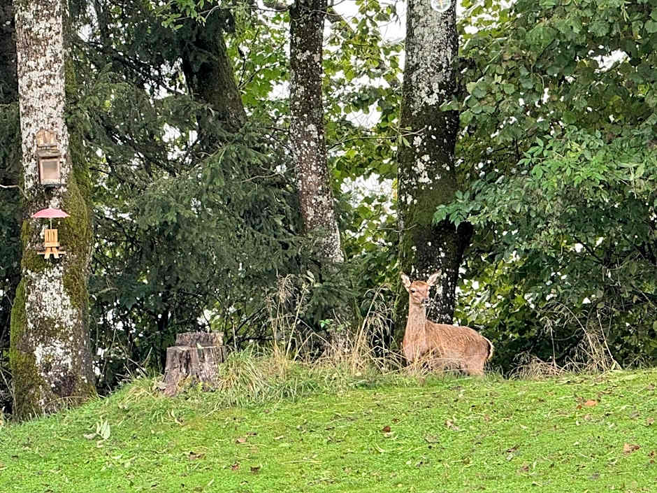 Pension Gasthof Arriach