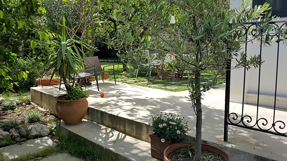 Nel Giardino Degli Agrumi – Palermo, CA