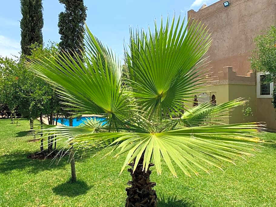 Rita House - Le Petit Paradis sur Terre