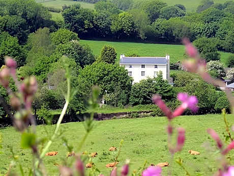 Plantation House Hotel