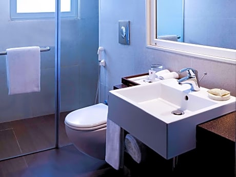 Deluxe Room with 1 double bed