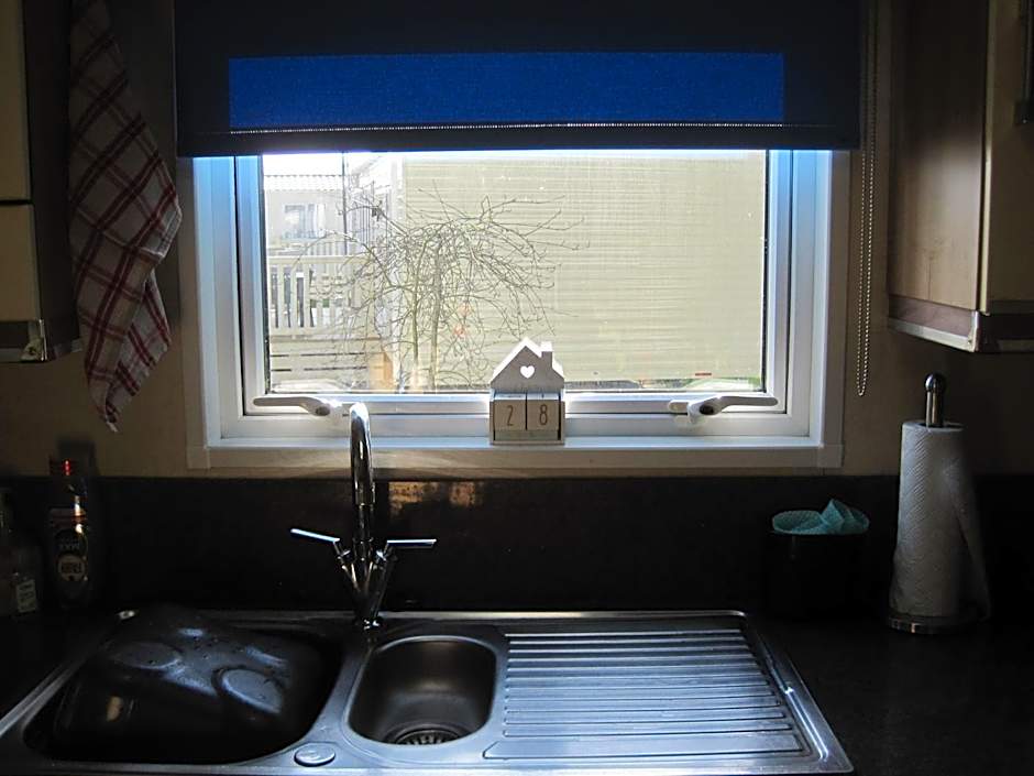 Violet 28 Oakdene Forest Park