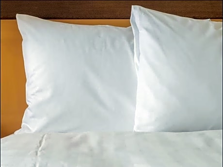 1 King Bed Suite Extra Floor Space