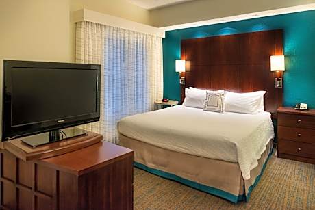Studio, 1 King Bed with Sofa bed (1 King Bed and 1 Double Sofa Bed)