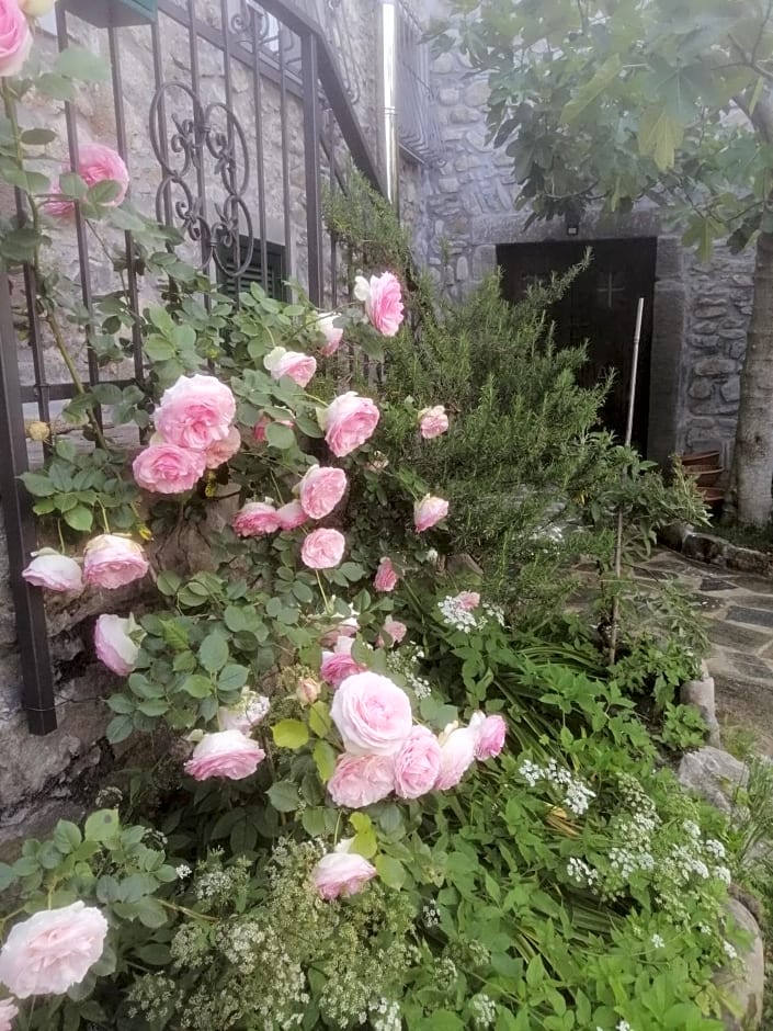 B&B Alle Ortensie Blu