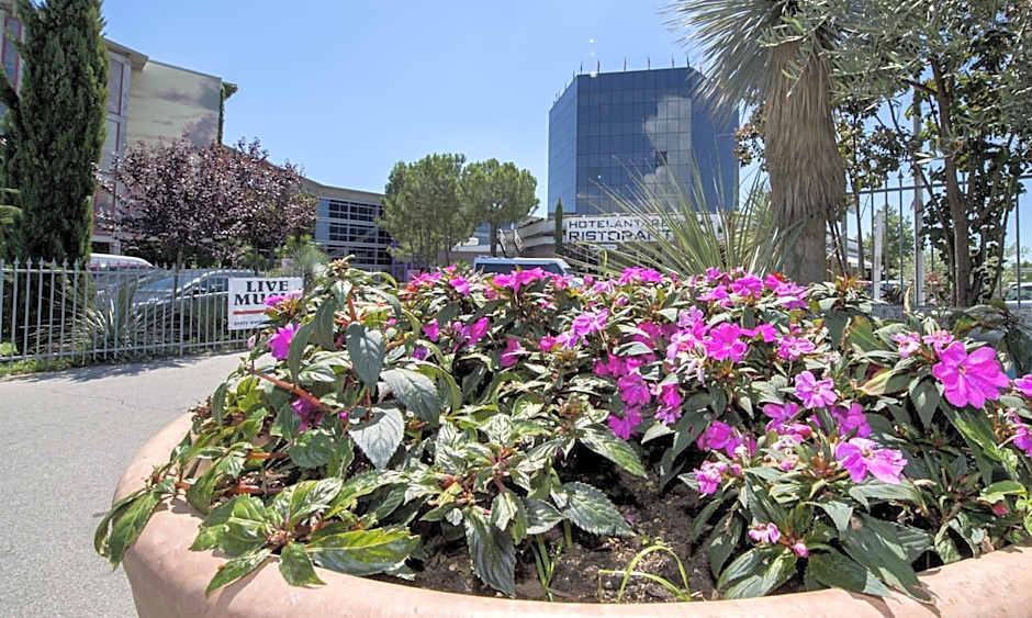 Hotel Antares Sport Beauty & Wellness