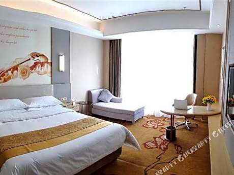 Vienna International Hotel (Shannan)