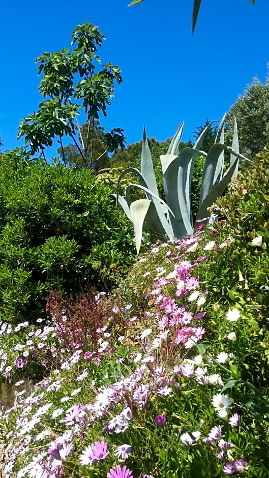 Villa Le Clos Fleuri