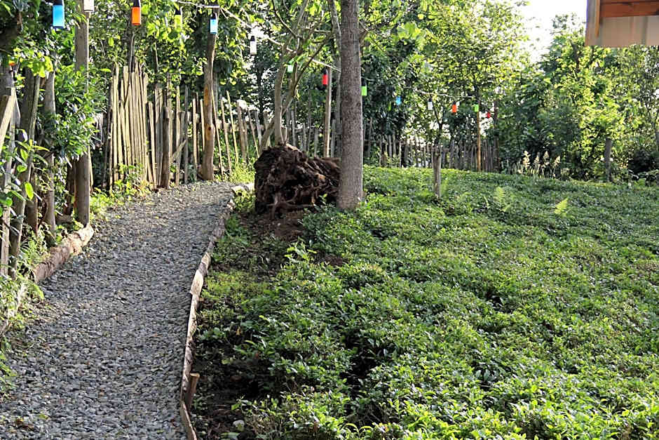 Bogina Dome & Suite - Çamlıhemşin