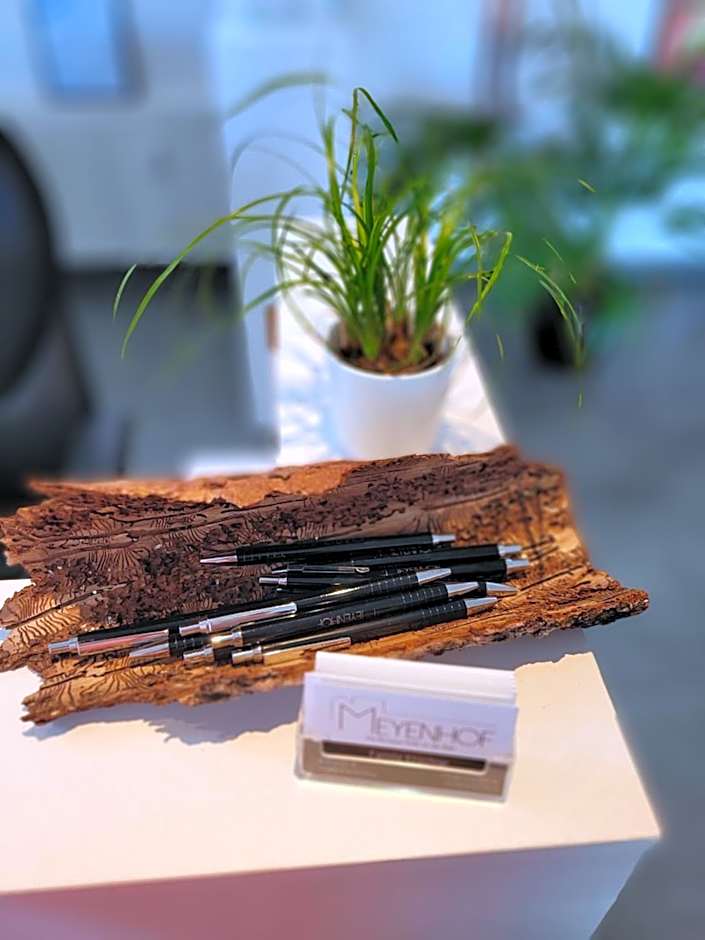 Hotel Apartment Ferienwohnung Meyenhof Frankenberg Eder