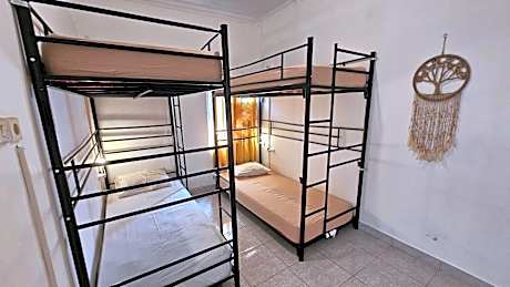 Bunk Bed in Mixed Dormitory Room