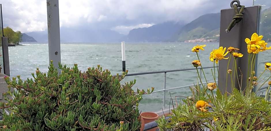 LA MAGNOLIA Guests House