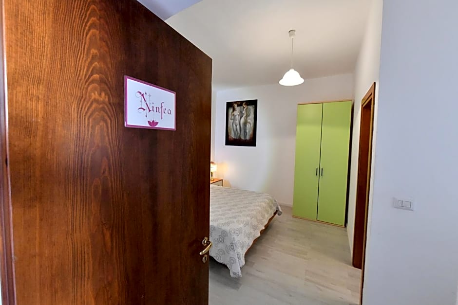 B&B Tredomus