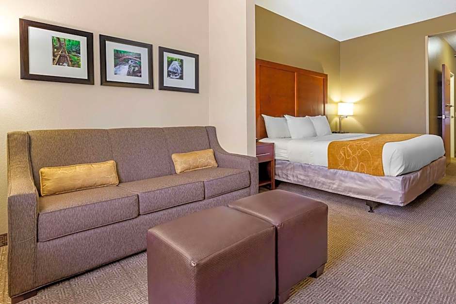 Comfort Suites Boone - University Area