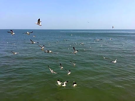 Mainland Chinese Citizen - King Room with Sea View