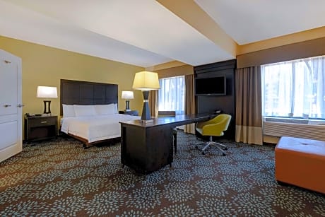 1Kg Mobility/Hearing Access Ri Shwr Studio Ns