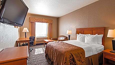 1 Queen Bed, Nonsmoking Access, No Pets Allowed