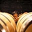 greet Hotel Castres Saix