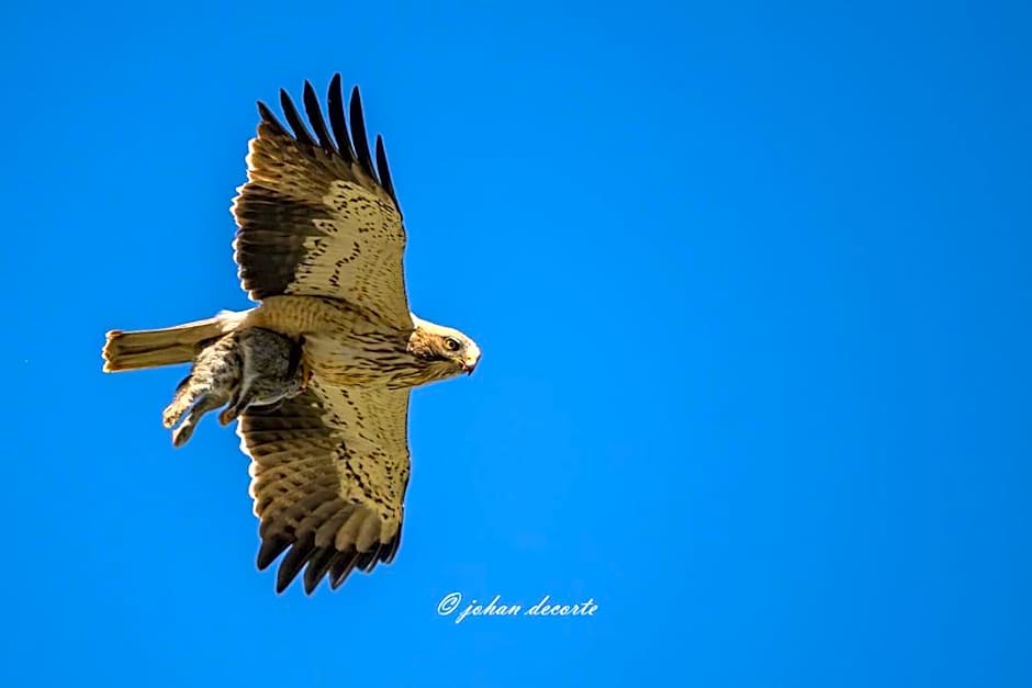 Hotel Rural Fuente La Teja