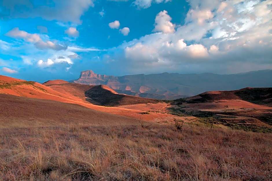 Witsieshoek Mountain Lodge