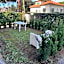 Villa Costa Fiorita