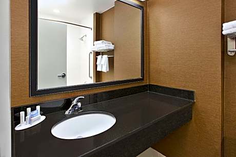 Suite, 1 Bedroom (1 King Bed and 1 Double Sofa Bed)