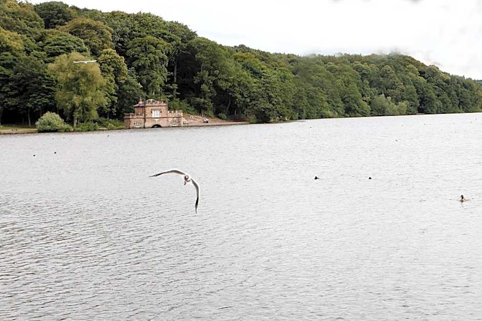 Hotel St Pierre, Sure Hotel Collection by Best Western