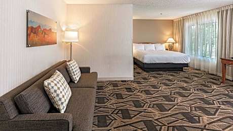 Santa Rm 1K Ctyvw W/Sofabd