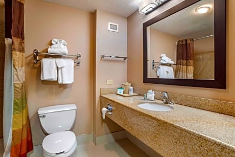 Suite-1 King Bed, Non-Smoking, Jacuzzi, Microwave And Refrigerator
