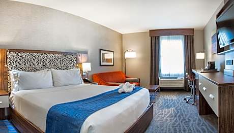 Standard King Room with Sofa Bed - Non-Smoking