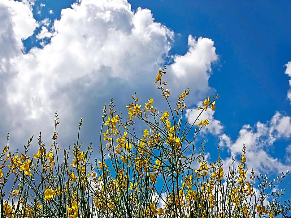 Torre Della Chiocciola