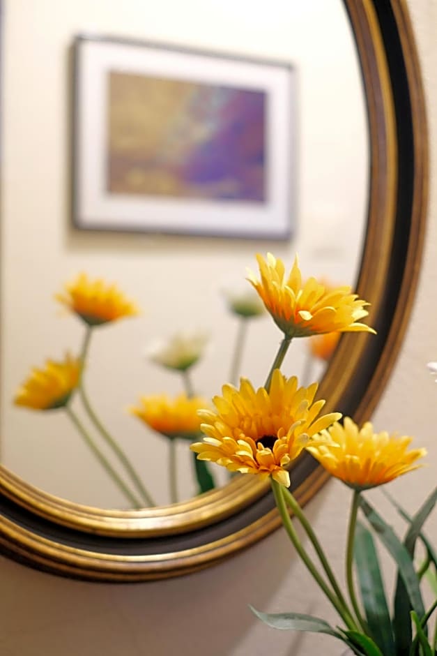 AmendoeirasHouse-SustainableLiving