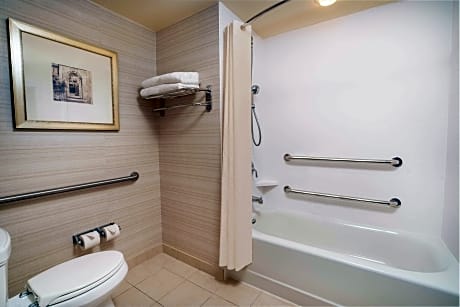 1 King Premium Mobility/Hearing/Access W/Tub