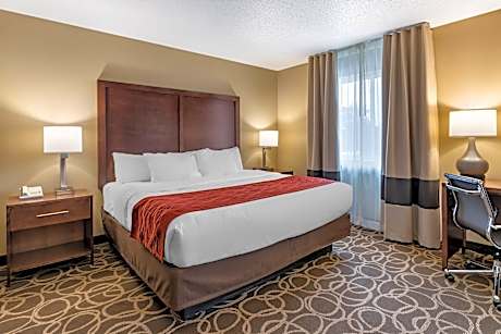 1 King Bed, Suite, Nonsmoking