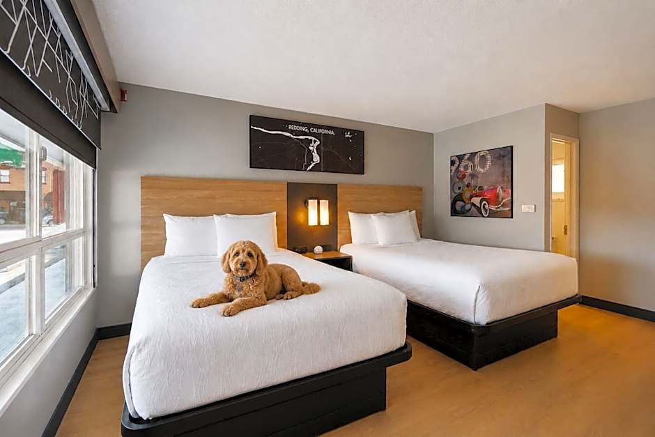 Photo 1 of 6 of Standard 2 Queen Beds, Pet-Friendly