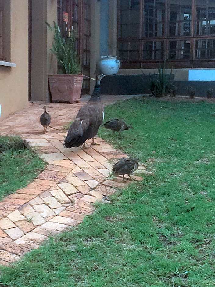 The Cradle Berry Farm