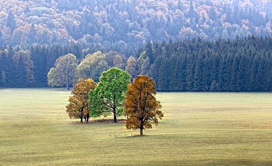 Przystanek Lasówka