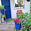 Chambre et jardin