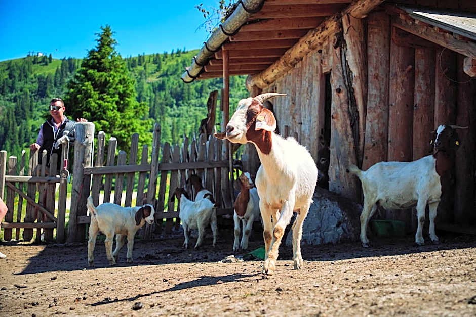 Gehwolfalm Berghotel